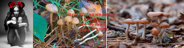 первитин Заволжск