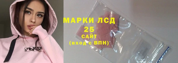 ПСИЛОЦИБИНОВЫЕ ГРИБЫ Заводоуковск