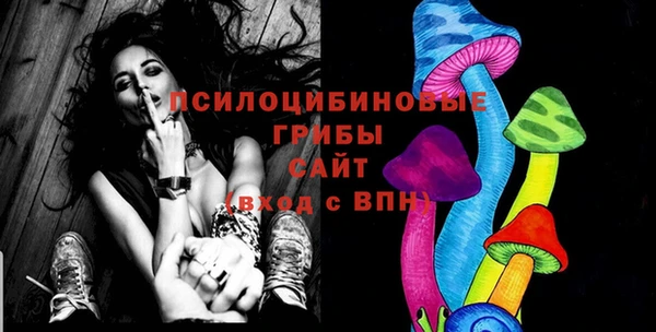 ПСИЛОЦИБИНОВЫЕ ГРИБЫ Заводоуковск