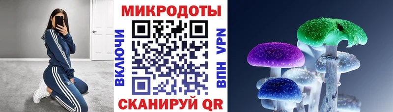 Псилоцибиновые грибы Psilocybe  Купить закладки  Уварово 